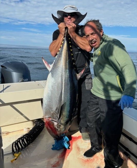 Nice Bluefin Tuna Caught Off Oregon Coast 2024