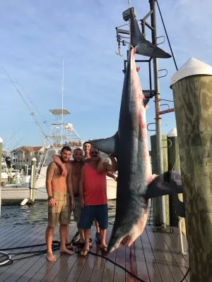 926 lb. Mako Shark Caught Off New Jersey Coast