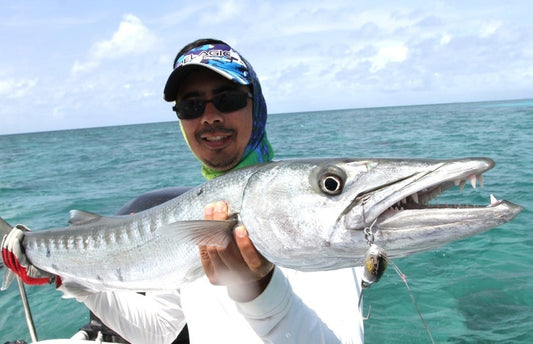 Barracuda Fishing and Recommended Tackle
