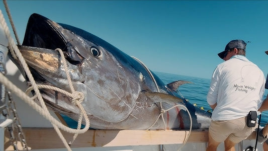 Bluefin Tuna Fishing Rod Guides