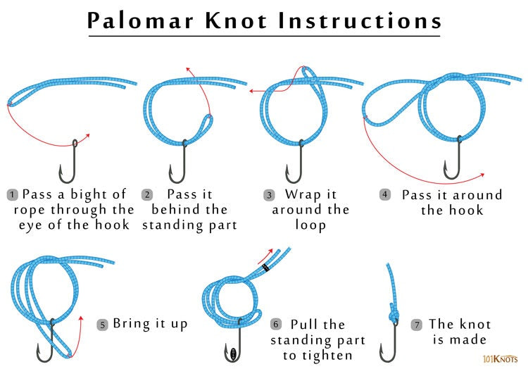 Best Fishing Knots for Braided Fishing Line