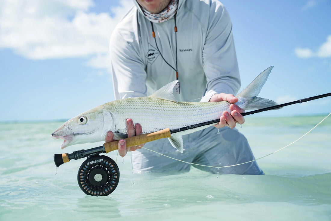 Mastering the Bluewater Frontier: A Deep Dive into the Sage Salt R8 14wt Fly Rod