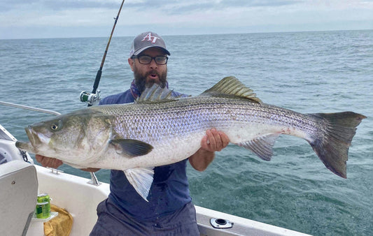 Striped Bass Fishing: A Complete Guide